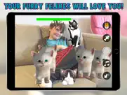 cattery ipad resimleri 3