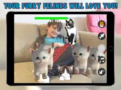 Cattery iPad image 3