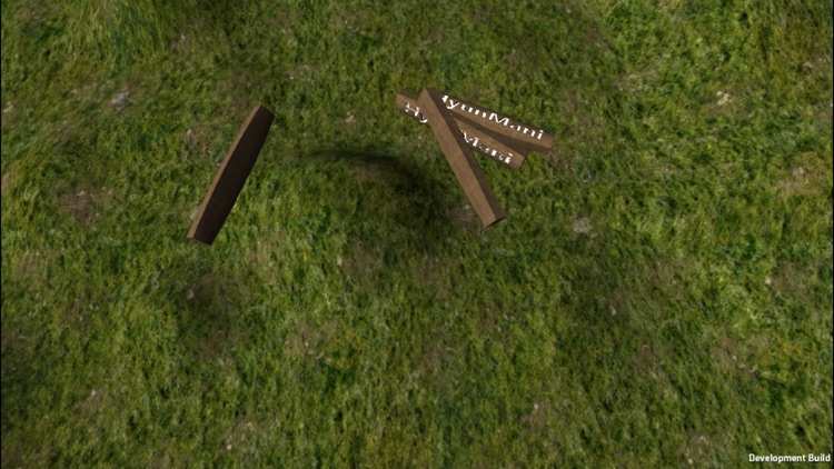 Real 3D Yut Dice screenshot-4