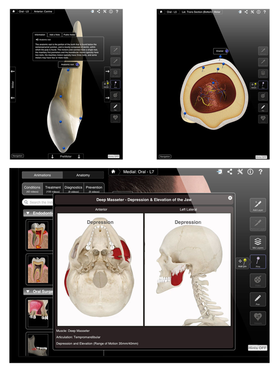 Dental Patient Educationのおすすめ画像4