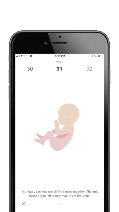 Essentia Baby screenshot 2