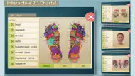 Total Reflexology-3D iphone bilder 0