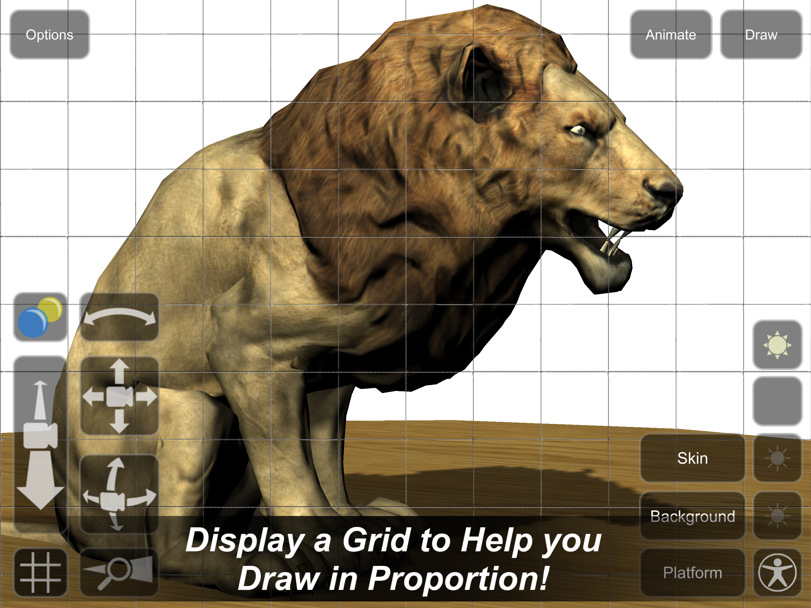 Lion Mannequin