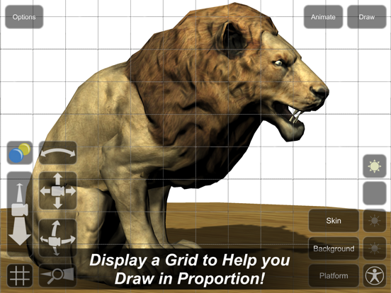 Lion Mannequin iPad screenshot 4 - Education app