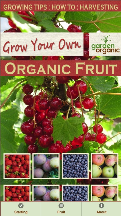 Growing Your Own Organic Fruit