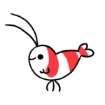 Shy Shrimp sticker