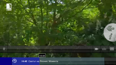 SKAT MobileTV screenshot