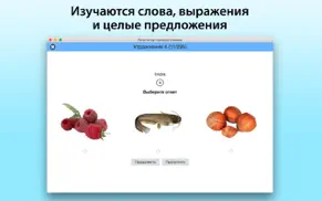 Репетитор турецкого языка айфон картинки 2