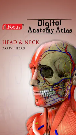 Game screenshot Head and Neck mod apk