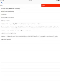 Flycut screenshot 10