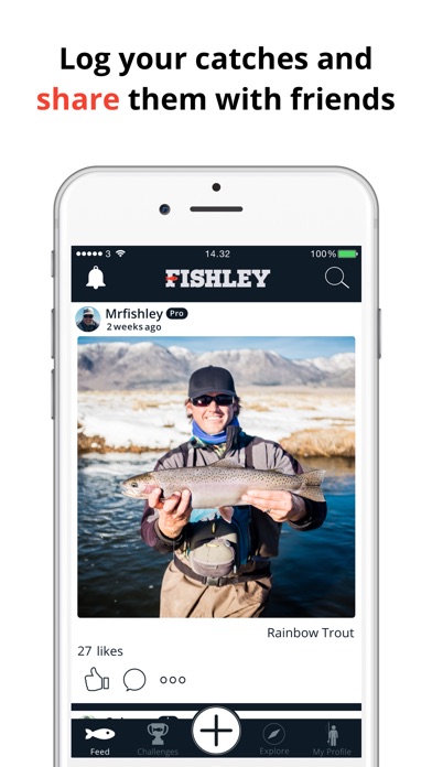 Fishley screenshot 4