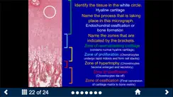 Histology Complete -SecondLook iPhone image 2