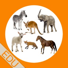 Activities of Find+Learn EDU