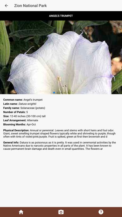 Zion Park Wildflowers iPhone screenshot 4 - Travel app