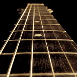 Standard Guitar Tuner app icon