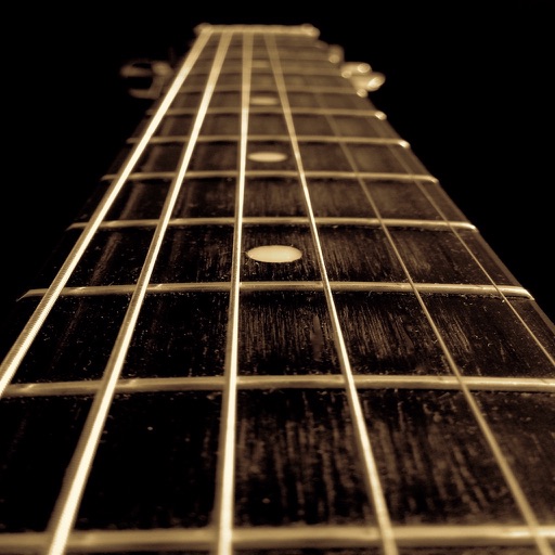 Standard Guitar Tuner iOS App