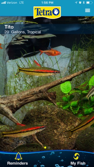 Tetra My Aquarium