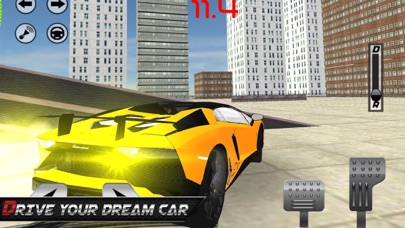 How to cancel & delete Extreme Car: Real Driving from iphone & ipad 2