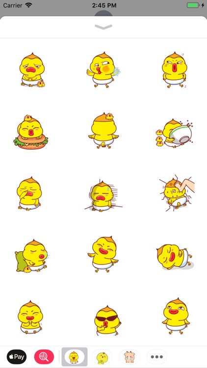 Baby Bird Funny Stickers
