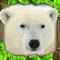 Brave the arctic wilderness and live the life of a Polar Bear