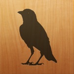 Download Blackbird! app