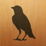 Blackbird! App Alternatives