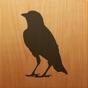 Blackbird! app download