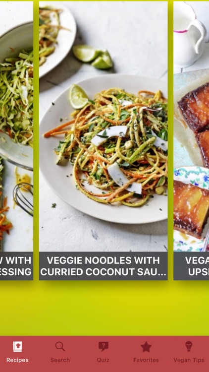 Vegan Recipes⋆ screenshot-6