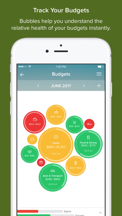 Budgeting Tools screenshot-3