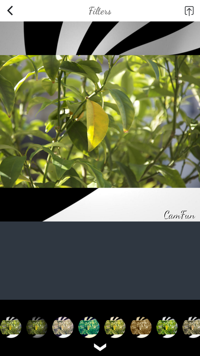 Screenshot #2 pour PIP Camera Split Pic Editor