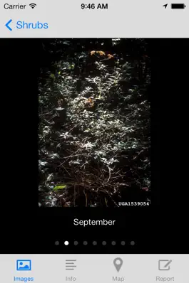 Game screenshot Invasives in Southern Forests hack