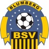 2. Männer BSV Blumberg