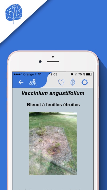 Arbo'Guide screenshot-3