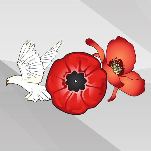 Remembrance Day & Veterans Day