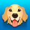 The cutest Golden Retrievers and Ultimate Emoji Texting App