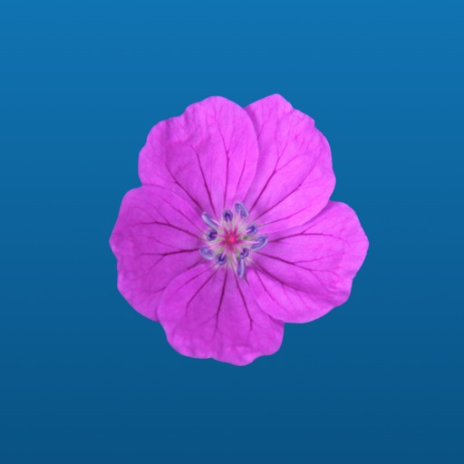 Flower Power Sticker Pack icon