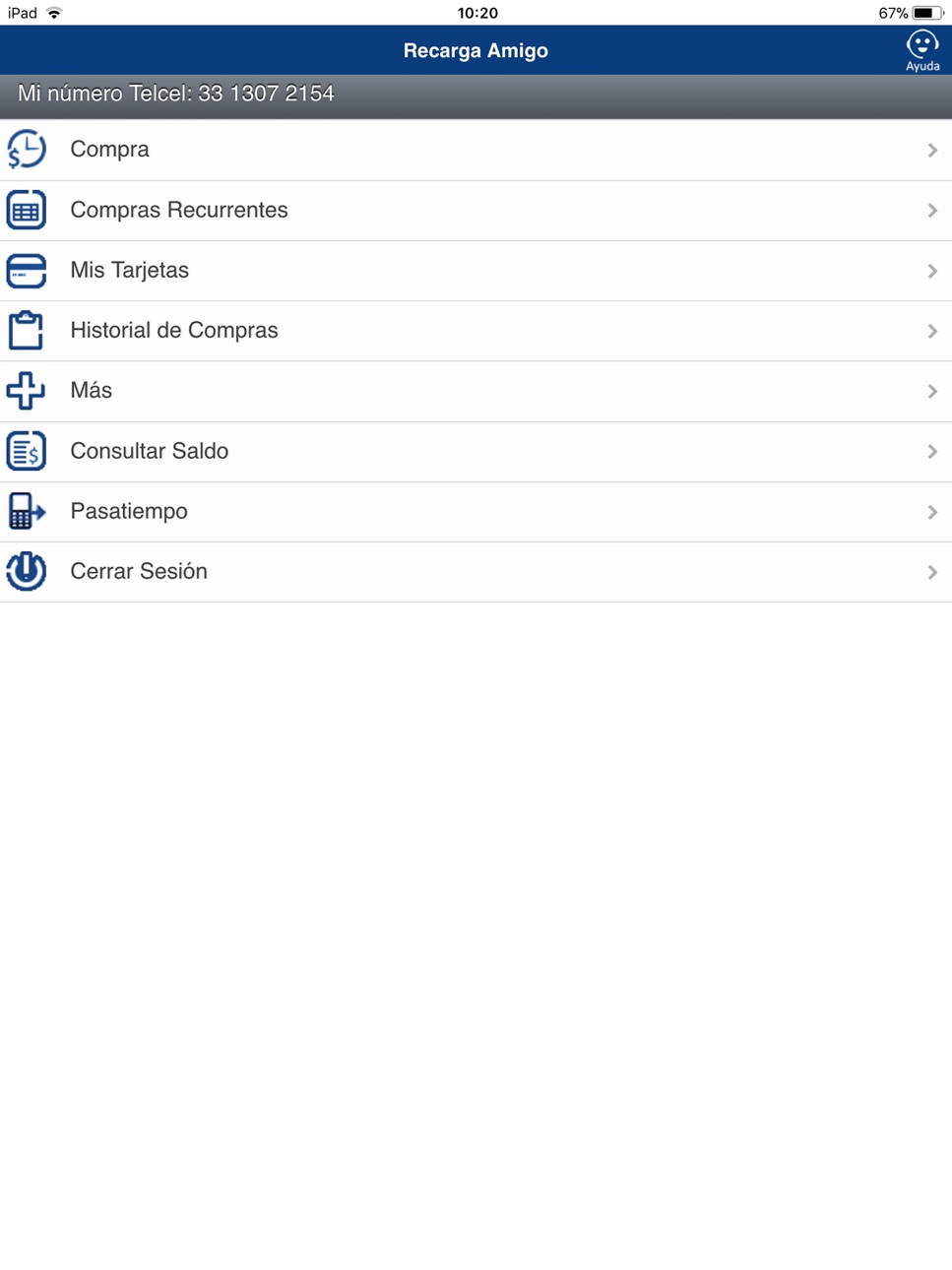 iPad screenshot