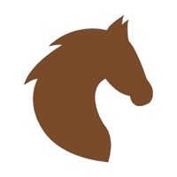 Reiten und Reiterhöfe weltweit