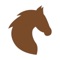 Horse Riding Worldwide will show you where to ride and all you need for your horse: equestrian farms, farriers, vets, and shops selling riding equipment and accessories