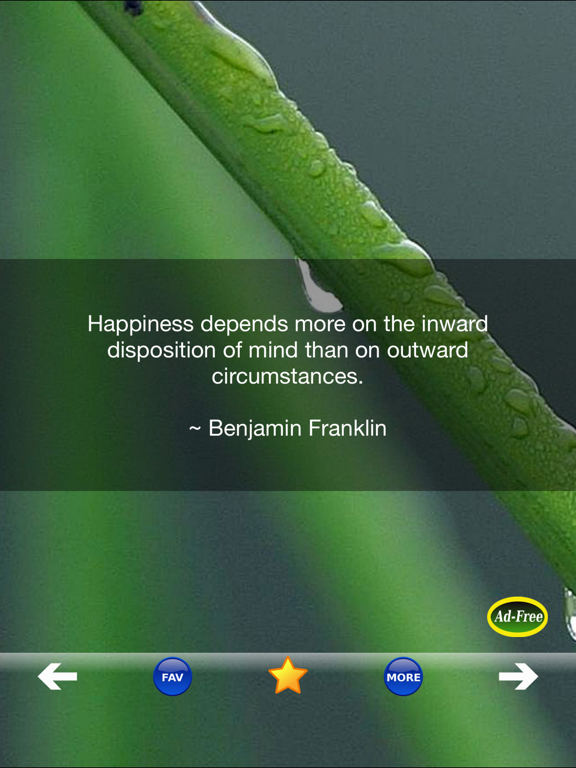 Screenshot #6 pour Inspirational Quotes & Sayings