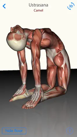 Game screenshot 3D Yoga Anatomy Lite hack