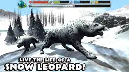 snow leopard simulator iphone screenshot 1