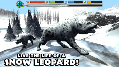 Snow Leopard Simulator Screenshot 1