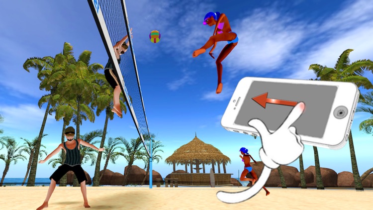 Beach Volleyball OverTheNet