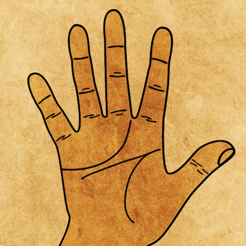 Palm Lesen