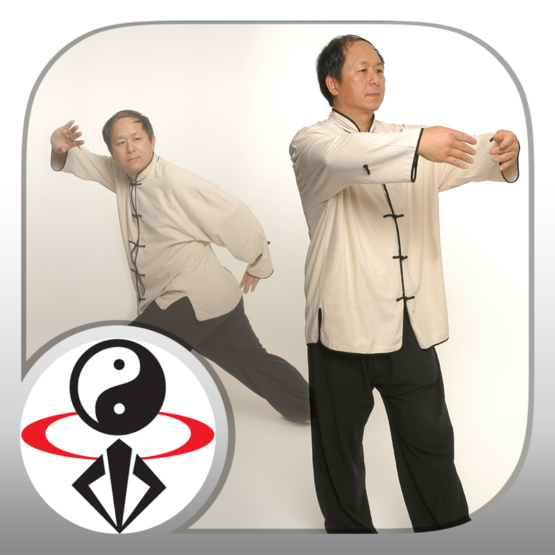 Tai Chi Qigong (YMAA)