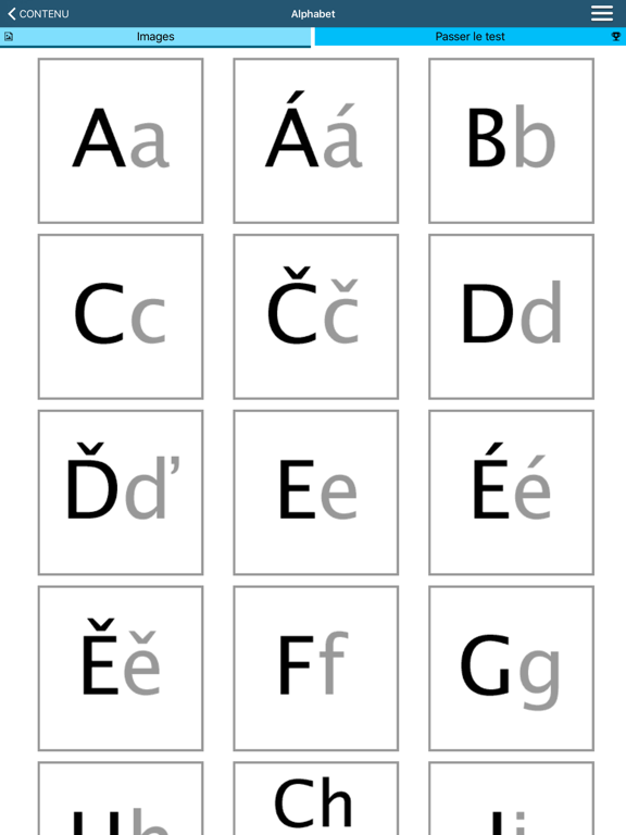 Screenshot #6 pour Apprendre le tchèque