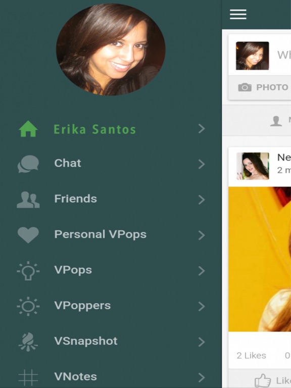 Screenshot #4 pour Viddiflash