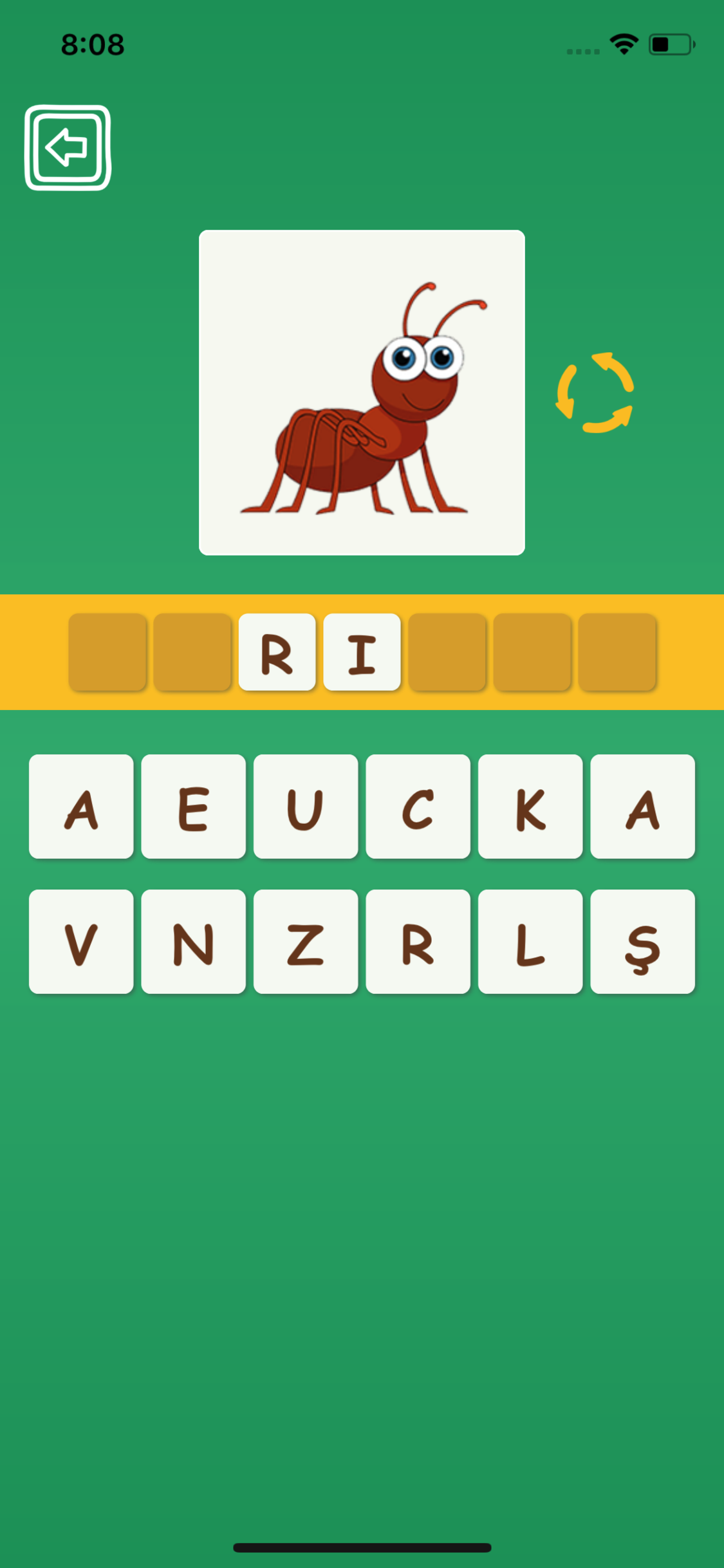 Learn Turkish For Kids