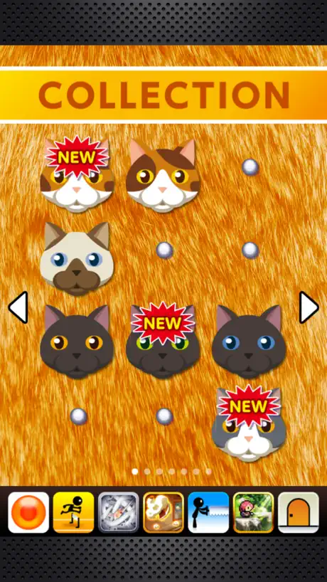 Odd Cat Out